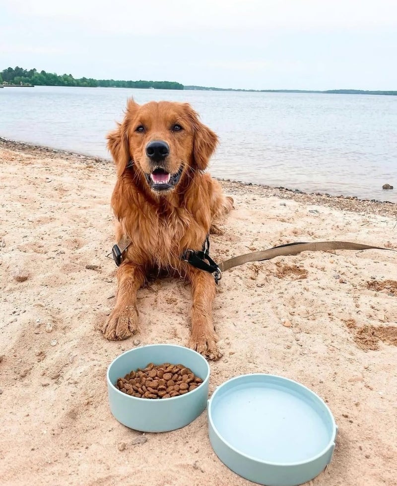Barkin' Trails Barkin’ Trails Travel Dog Bowls, Portable Outdoor Water, BPA-Free Water Bowl Set, Food Grade Plastic Dog Travel Bowl, Dog Camping Essentials, Travel Container - Image 5